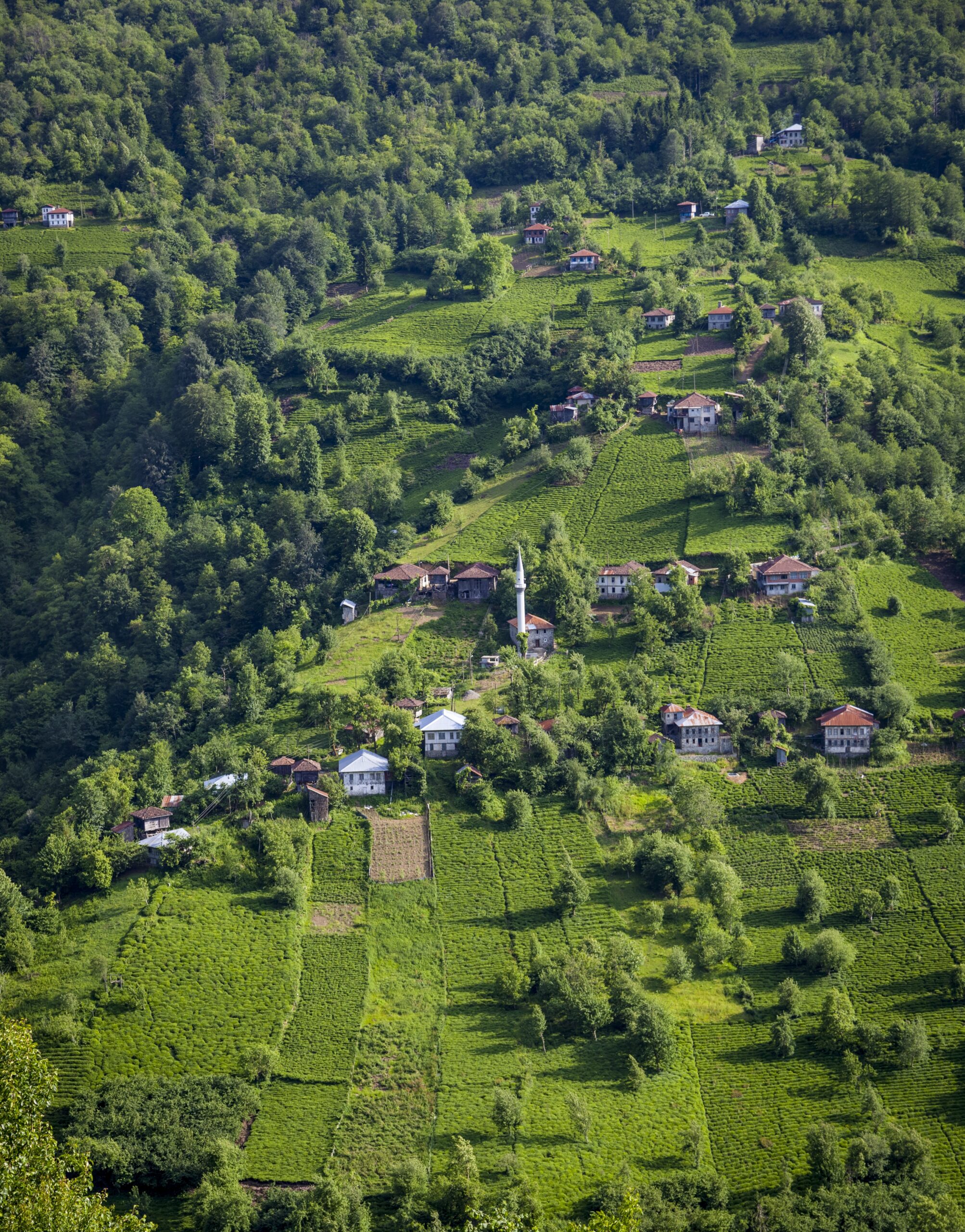 Valuations for agricultural and broadacre land:
▪️ Farms (Cropping & Livestock)
▪️ Equestrian Estates
▪️ Rural Residential Holdings