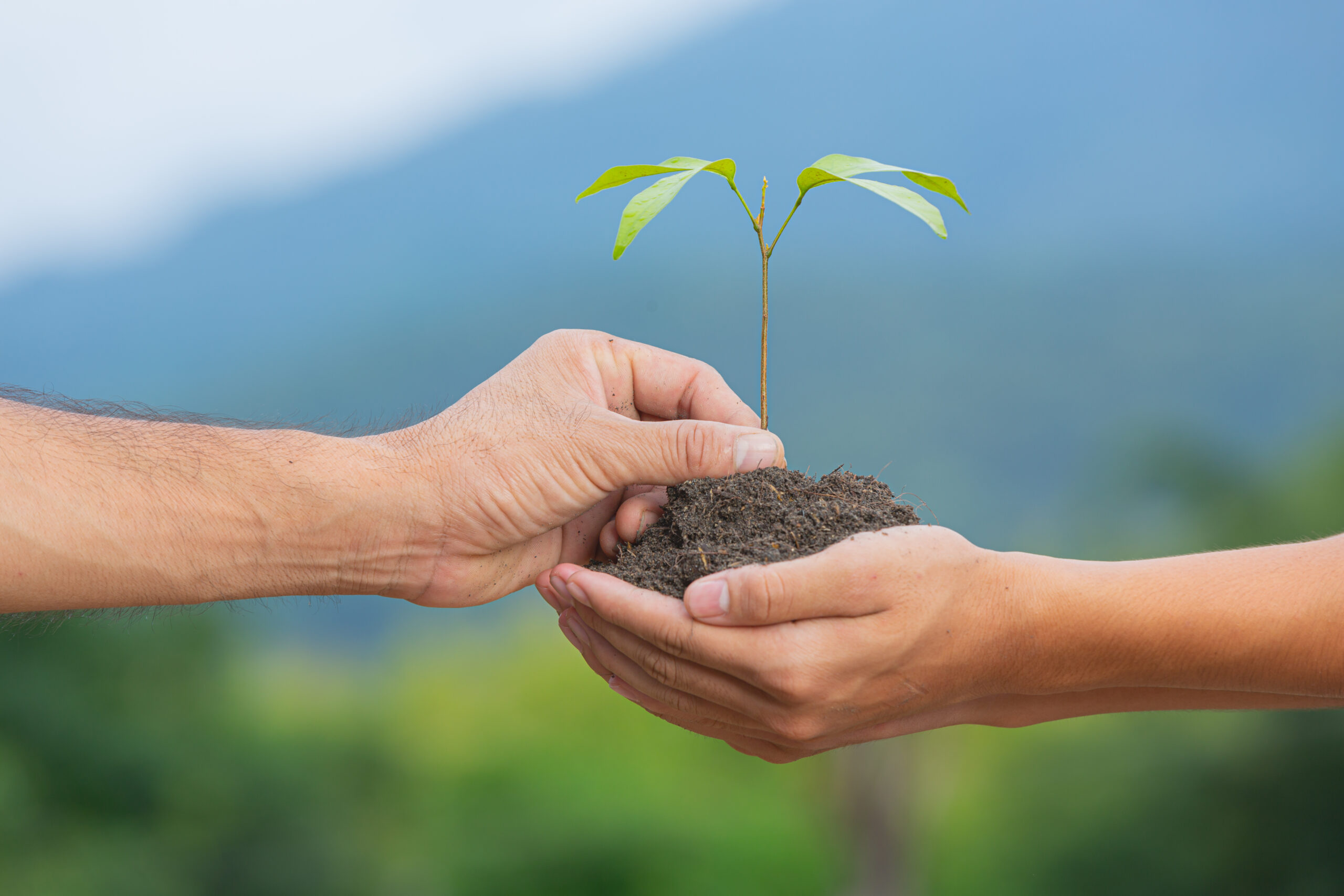 We offer valuation and advisory services for:
▪️ Native Title Claims
▪️ Aboriginal Land Trusts & Councils
▪️ Joint Commercial Ventures